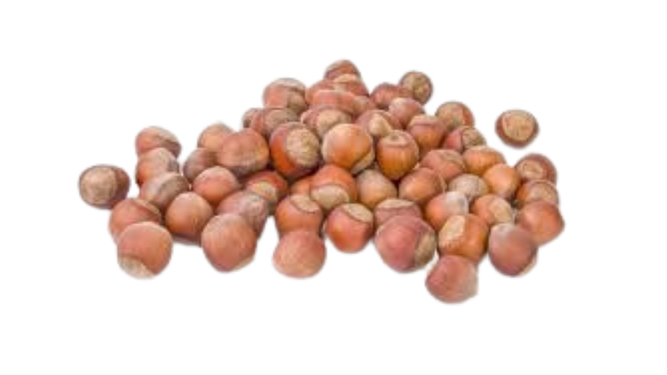Hazelnuts.