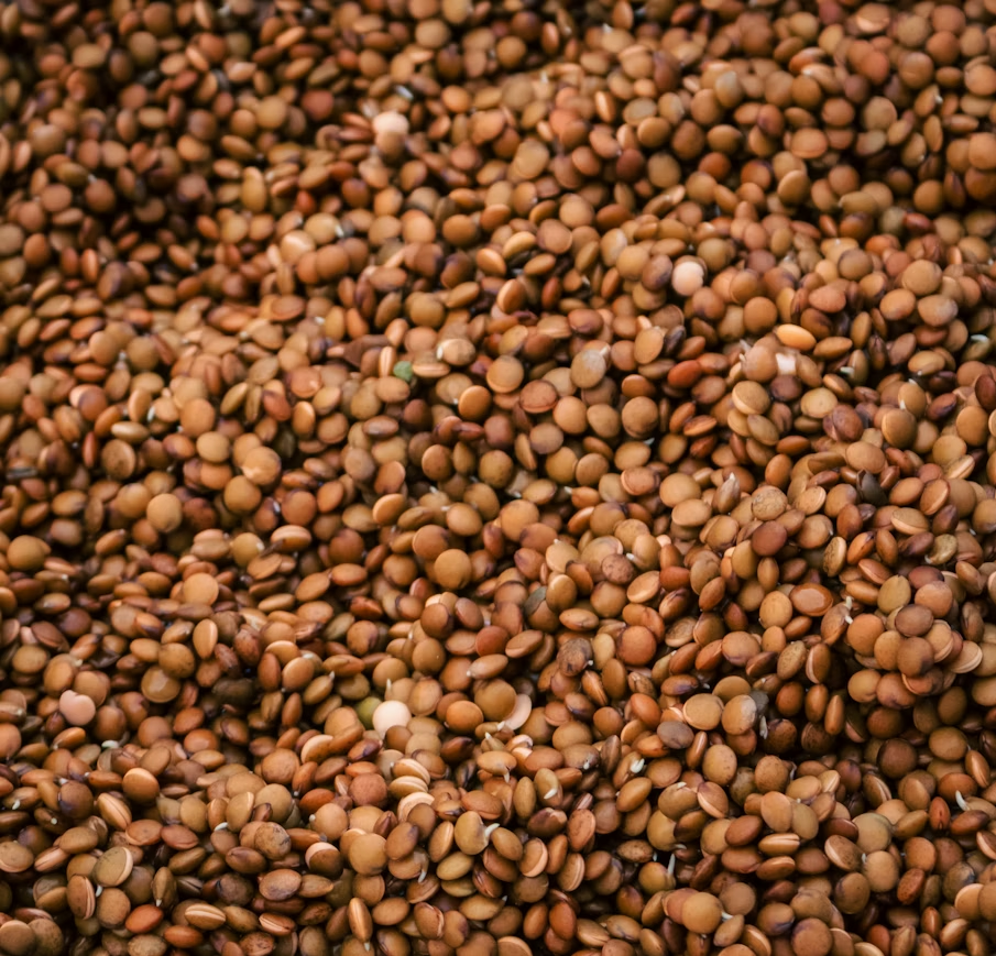 Horse gram