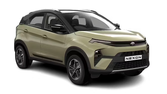 The Tata Punch and Tata Nexon.