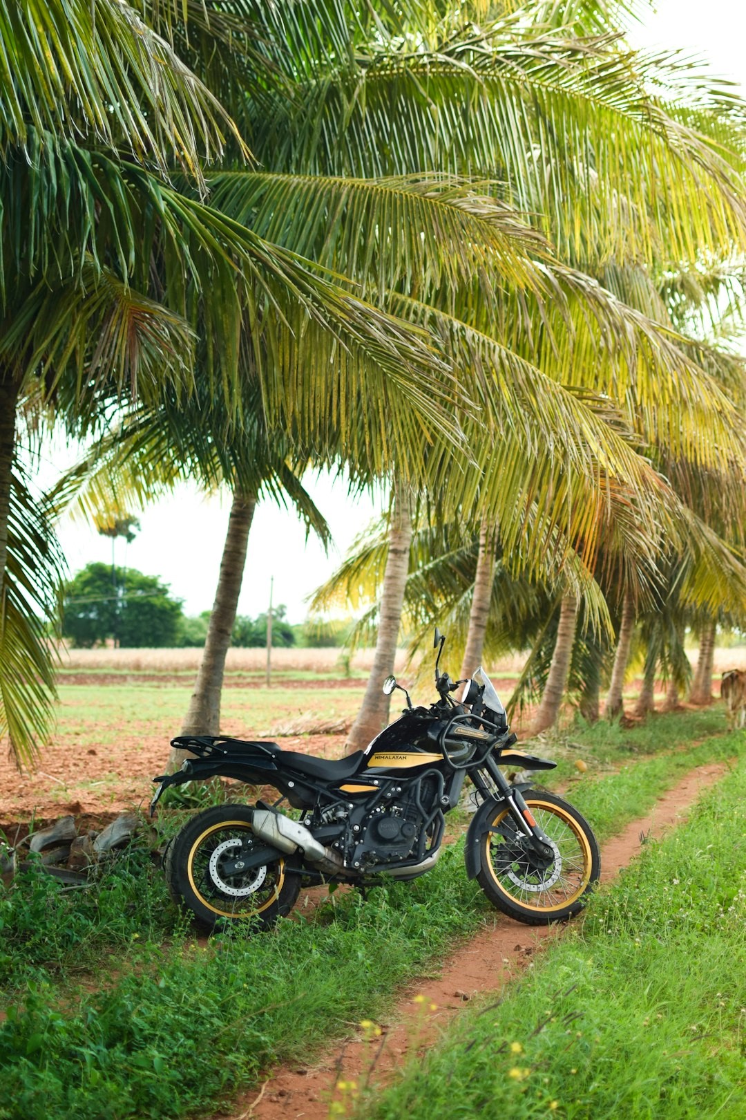 A touring motorcycle parked on a scenic open road.