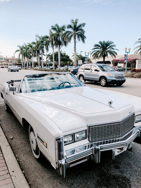A classic white convertible car parked on a palm-lined street, with other vehicles and buildings visible in the background.