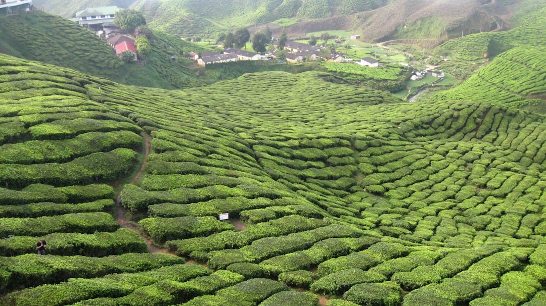 best-places-to-visit-in-malaysia