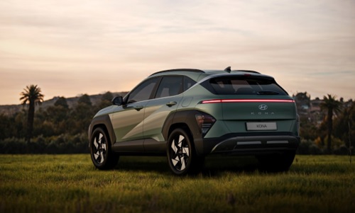 Check vehicle details