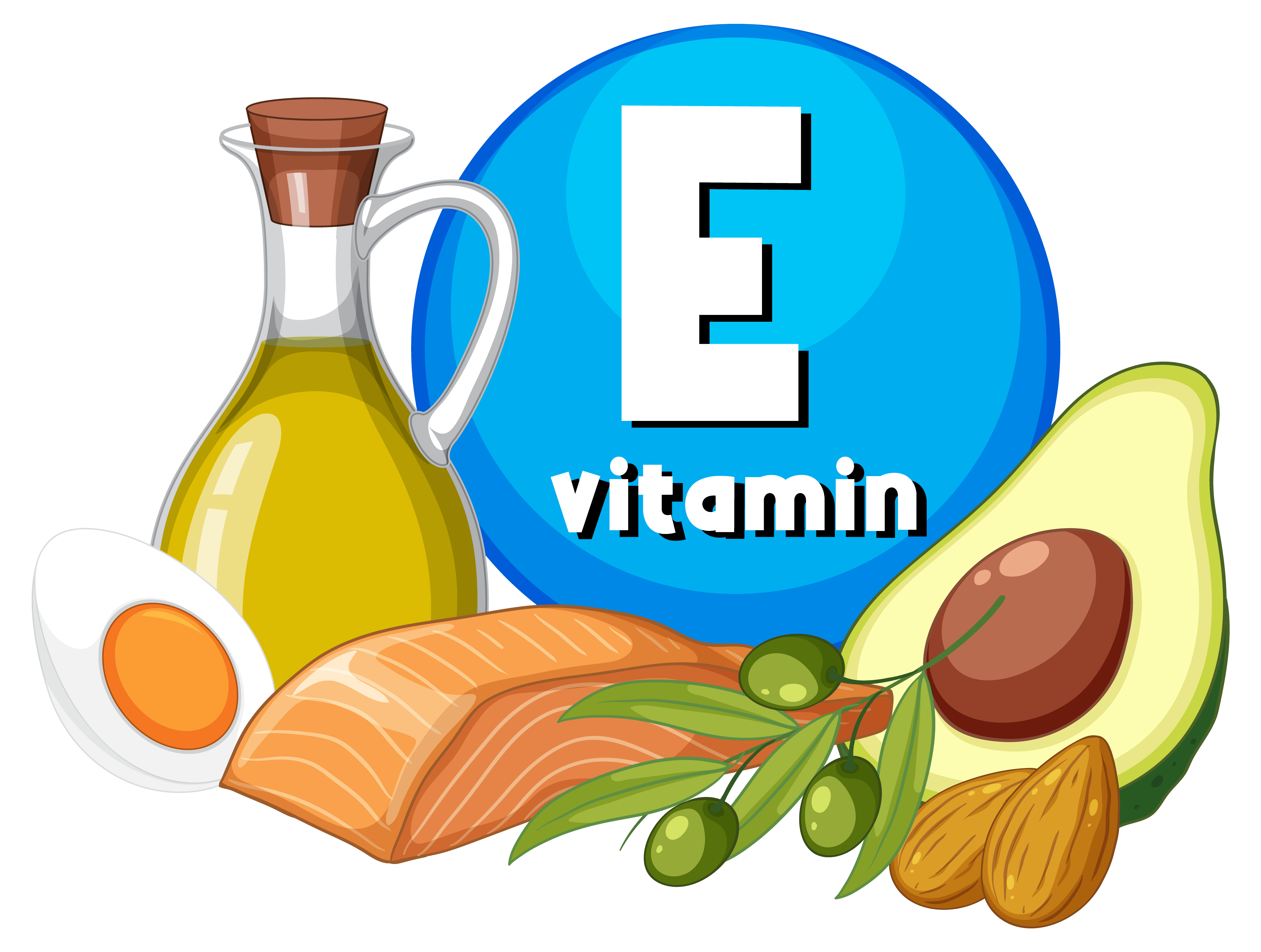 Colourful educational illustration showing various vitamin E-rich foods.