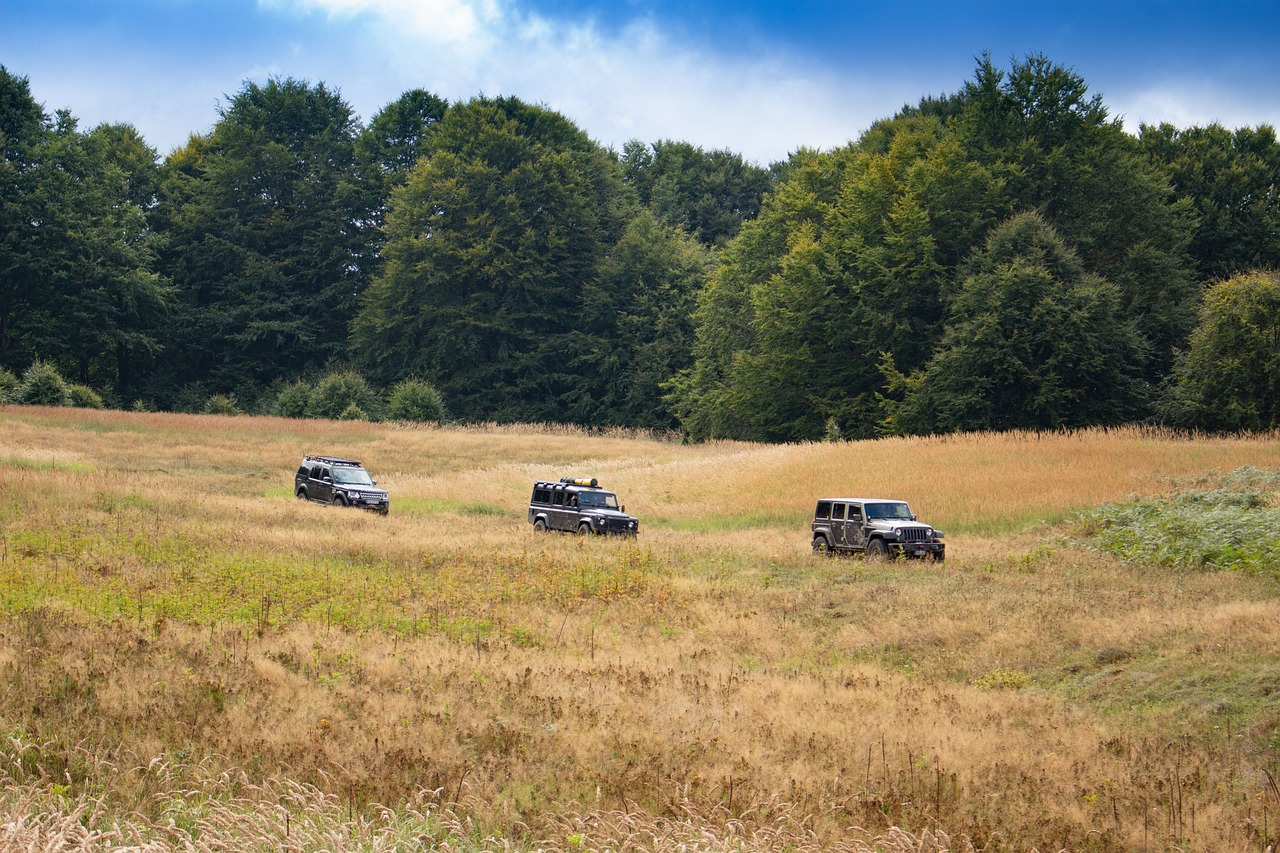 All terrain vehicle on rocky off-road trail by the forest. 