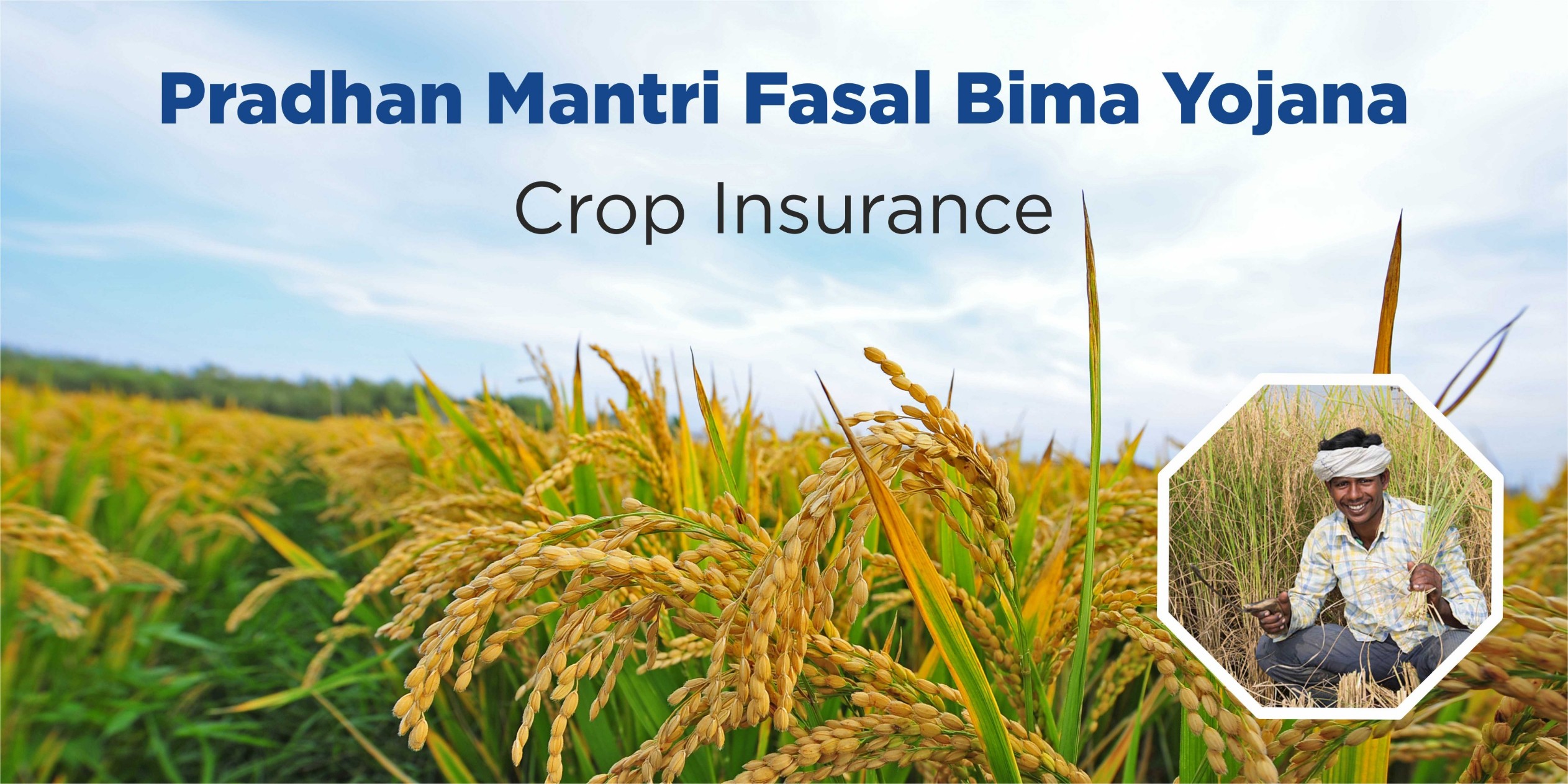 Centre sets up 7-member GoM led by Rajnath singh to review crop insurance scheme-PMFBY